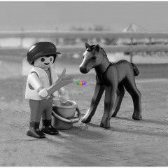 Playmobil 4647 - Fi csikval