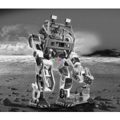 Playmobil 5152 - rvdelmez lpeget-gyjtrobottal