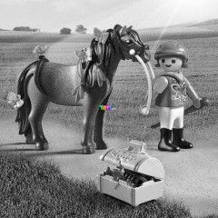 Playmobil 6971 - Pilleszárny és lovasa
