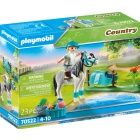 Playmobil 70522 - Gyjthet pni - Nmet classic pni