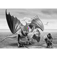 Playmobil 9248 - Drk s Pnclos srkny